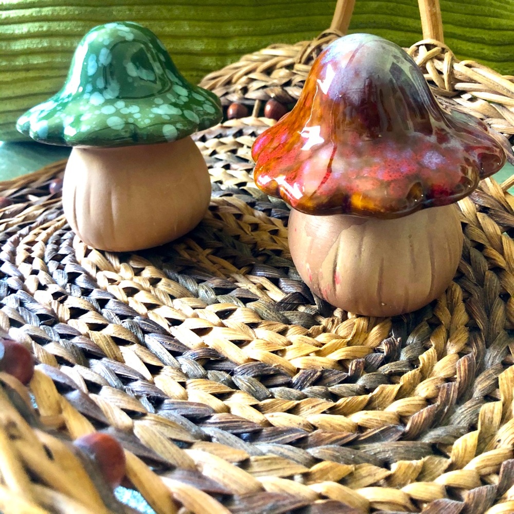 Ceramic and Terra-cotta Mushrooms Set of 2
